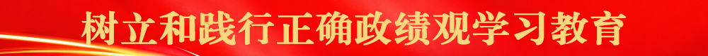 【专题】树立和践行正确政绩观学习教育