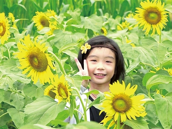 573fd25d8a6f7ea07fdbe65488d734ae_p2_s.jpg