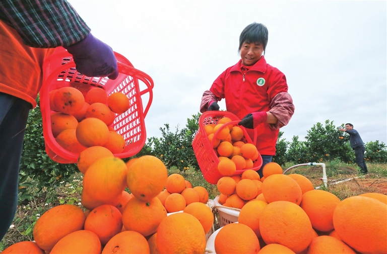 adb002484d4af09c69200f5060e30f45_hyrbs1207005_008_01_s.jpg