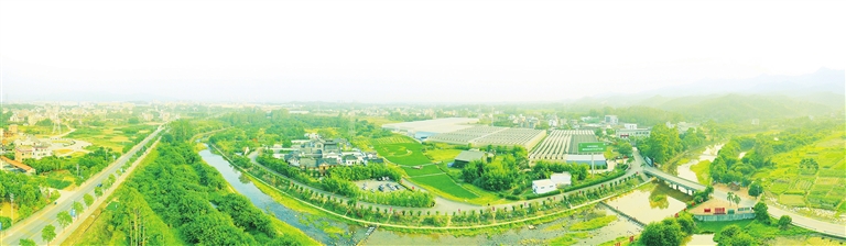 2b45dd3dfcb73e7703c44fc975655415_1012051_001_03_s.jpg