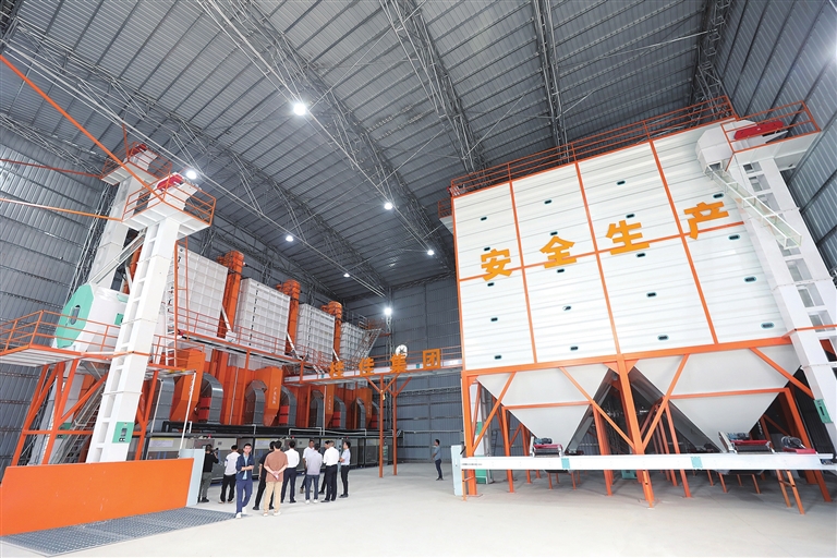 源城粮食烘干中心投入使用