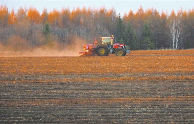 hyrbs0505002_006_01_s[1].jpg