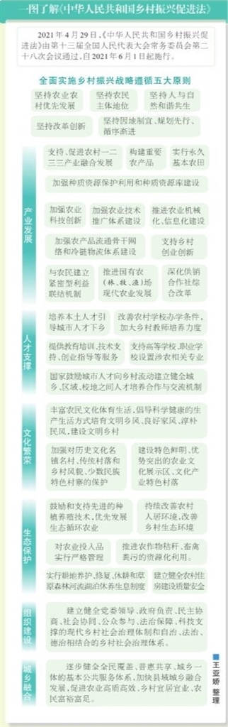 0dd1736e3ad878cdc3ff27dea387caf8_p2_s.jpg