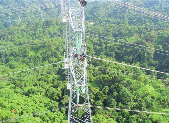 4ea4766fc45802118b8f35aa3263105b_0116003_001_05_s.jpg